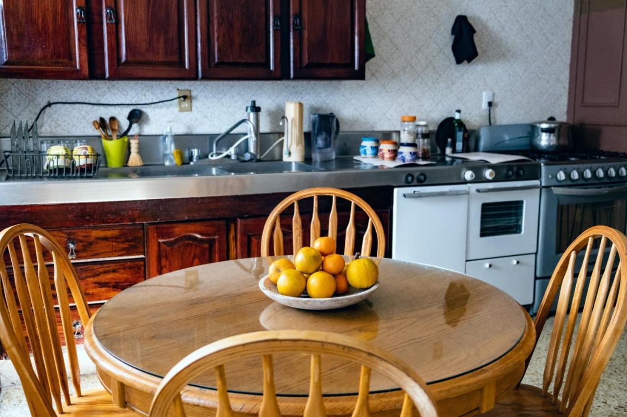فندق Margaritas Eco Haus كويريتارو المظهر الخارجي الصورة