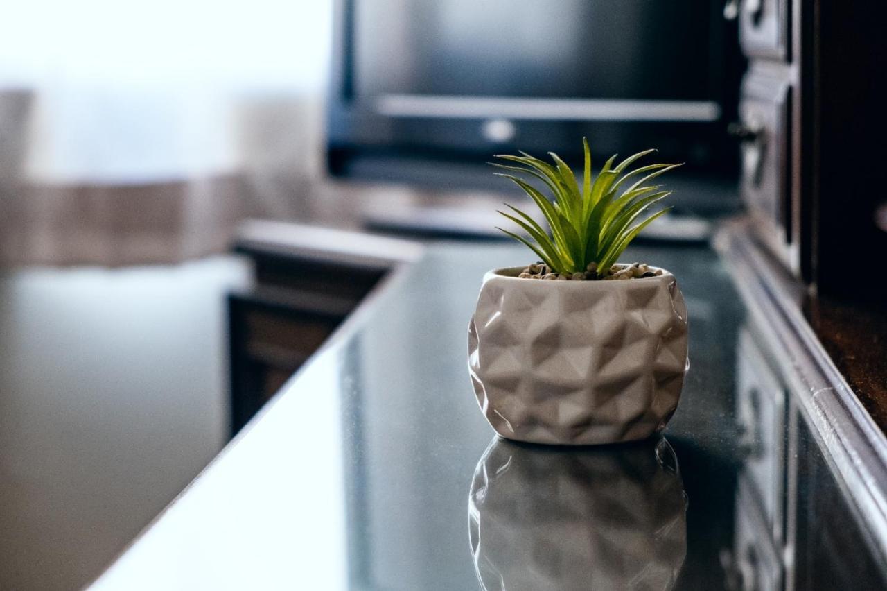 فندق Margaritas Eco Haus كويريتارو المظهر الخارجي الصورة